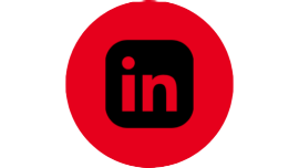 Linkedin icon