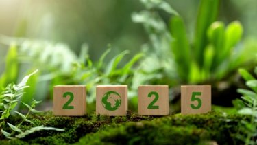 What Is Sustainable Event Management?